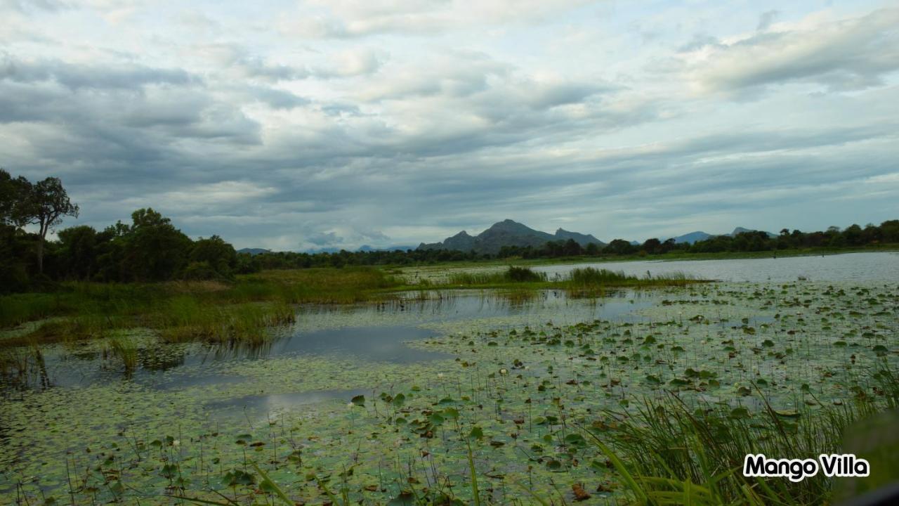Mango Villa Sigiriya Dış mekan fotoğraf