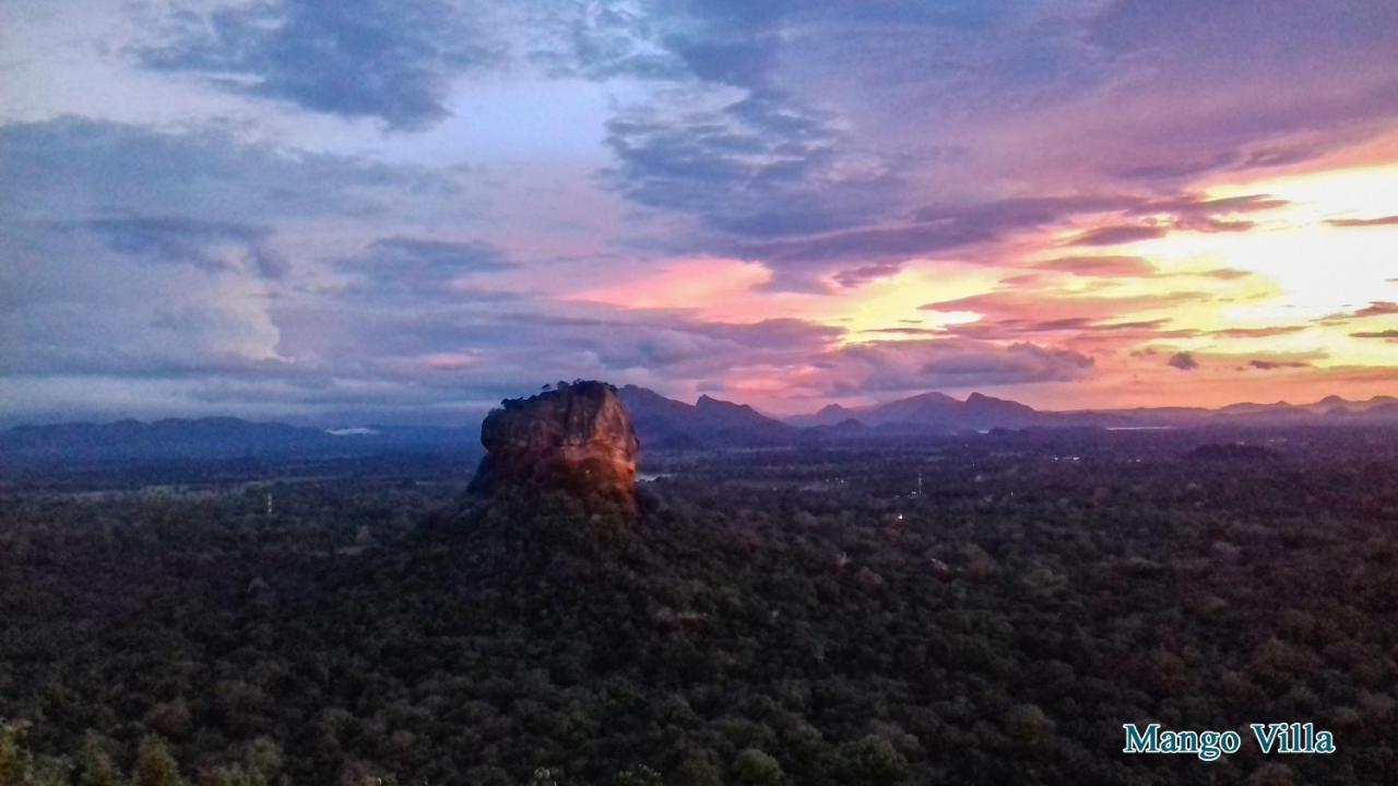 Mango Villa Sigiriya Dış mekan fotoğraf